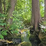 Opensky Woerthersee Pörtschach am Wörthersee