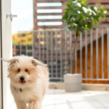 Daire Opensky Woerthersee Pörtschach am Wörthersee