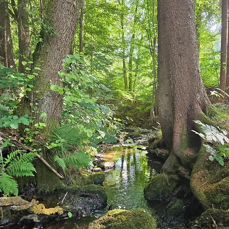 Opensky Woerthersee Pörtschach am Wörthersee