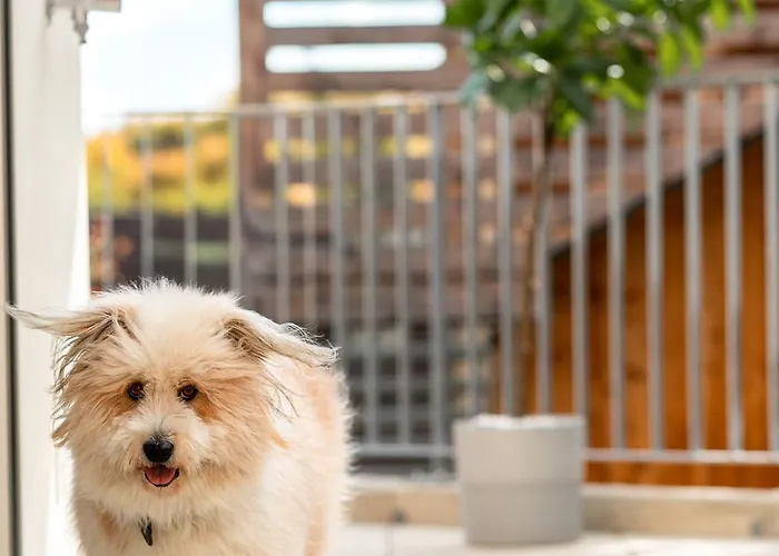 Apartament Opensky Woerthersee Pörtschach am Wörthersee