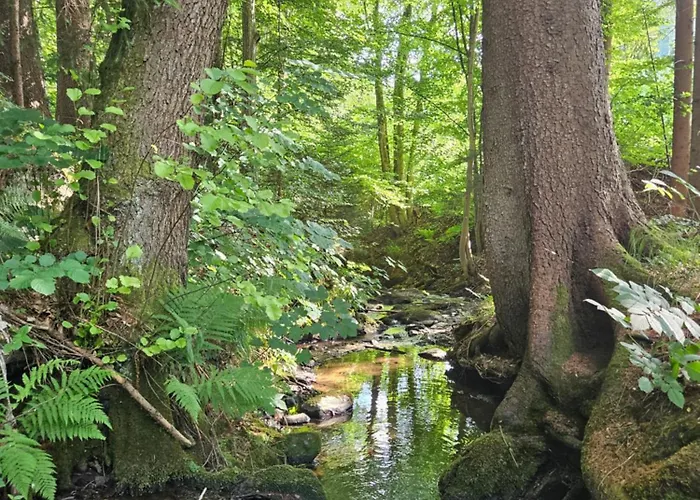 Opensky Woerthersee Pörtschach am Wörthersee
